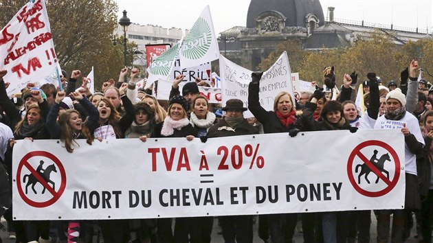 20% DPH = smrt koní a poníků, stojí na transparentu (Paříž, 24. listopadu 2013).
