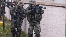 �eské jednotky pro�esávají dobytou vesnici b�hem cvi�ení Sabre Junction II v...