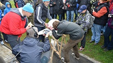 OSLAVY. Útoník Marek Bako (nahoe) se spolu s Milanem Petrelou raduje z gólu, který vstelil v minulé sezon do sít Jihlavy.