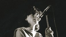 Precedens (Bára Basiková)