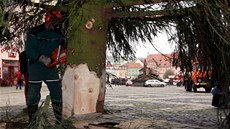 Usazování vánoní stromu v Chebu.