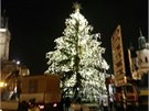 Zkouka osvtlení vánoního stromu na Staromstském námstí.