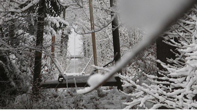 Ve Špindlerově Mlýně se zřítila s pěti lidmi nákladní lanovka, která patří k chatě Bumbálka. Jeden člověk zemřel, čtyři jsou zranění. (29. listopadu 2013)