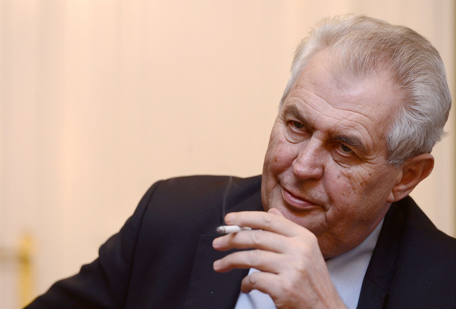Prezident Milo� Zeman (5. prosince 2013)
