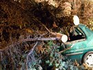 Hasii odstraují strom, který v noci v  Novém Mst nad Metují vyvrátil silný...