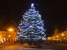 Vánoní strom v Hradci Králové.
