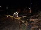 Hasii odstraují spadlý strom v Klimkovicích na Ostravsku. (5. prosince 2013)