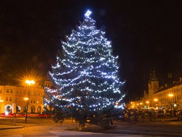 Vnon strom v Hradci Krlov.