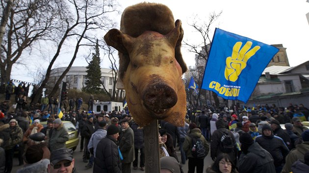 Prase hlava jako symbol toho, co si demonstranti v Kyjev mysl o vld a prezidentovi (3. prosince 2013)