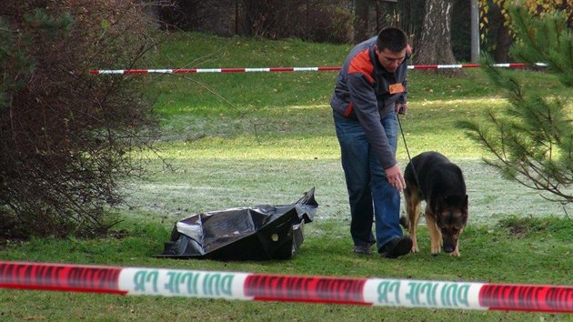 Policie u nálezu mrtvého muže na rohu ulic Ostružinová a Tulipánová na pražském Zahradním městě.