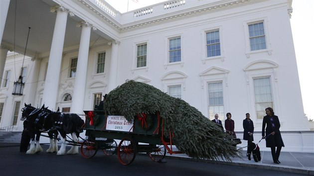 Prvn dma USA Michelle Obamov a jej dcery Sasha a Malia vtaj oficiln vnon strom Blho domu ve Washingtonu.