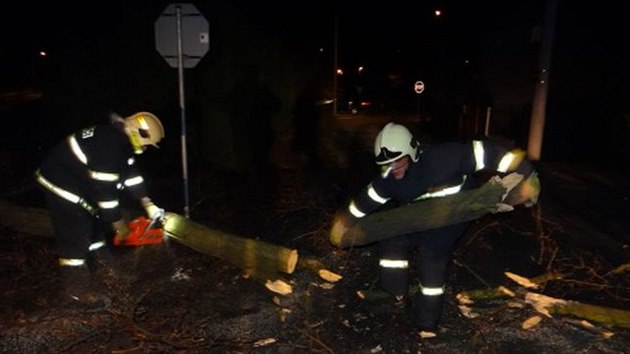 Hasii odstrauj spadl strom v Klimkovicch na Ostravsku. (5. prosince 2013)