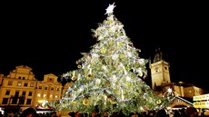 Vánoní strom v Praze.