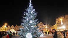 Plze�ský váno�ní strom.