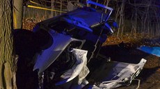 Automobil zna�ky Renault Mégane narazil do vzrostlého stromu. (8. prosince 2013)