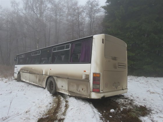 Autobus sjel mimo silnici, idii se podailo zastavit ped lesem.