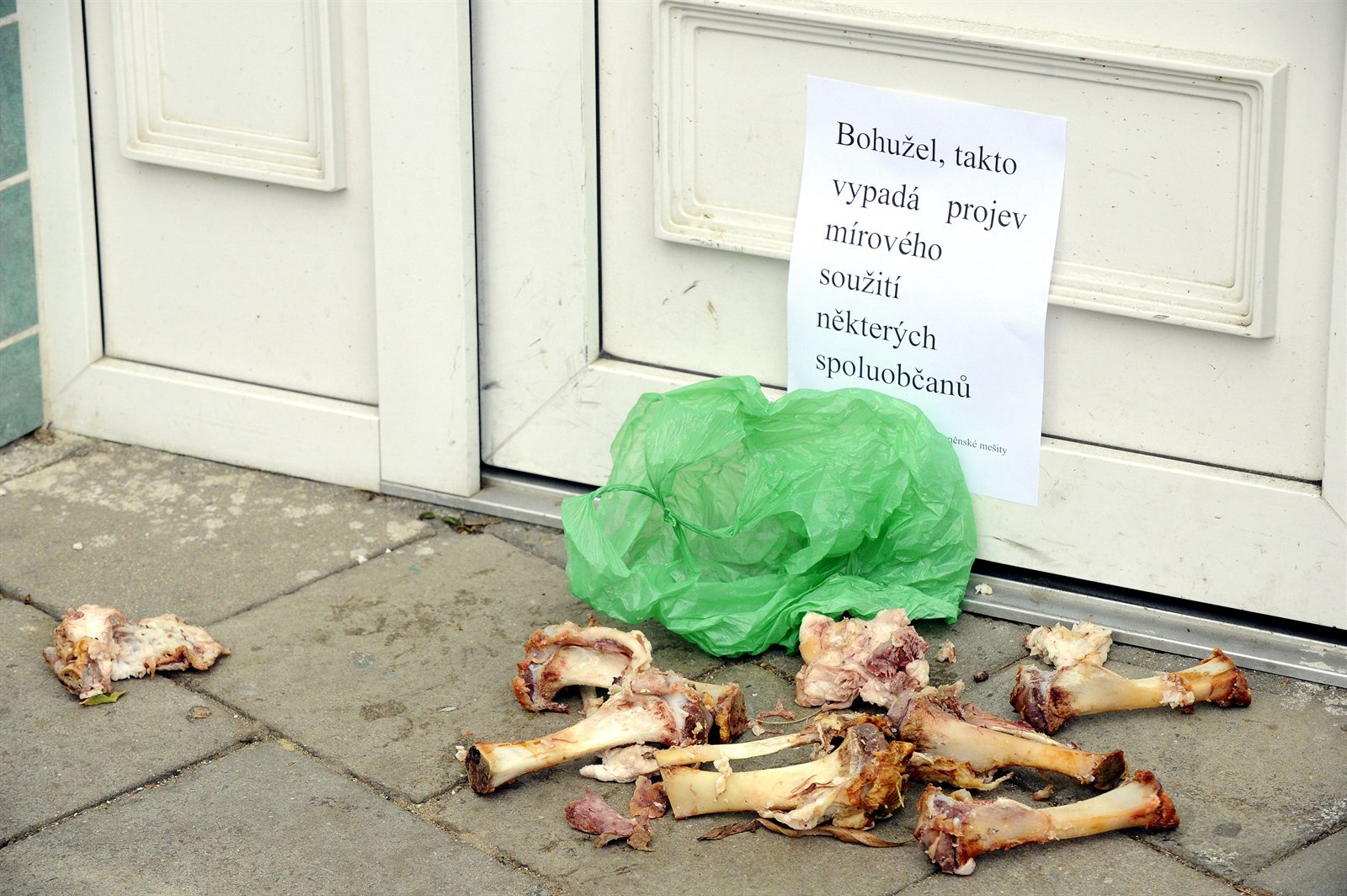 Vep�ové kosti p�ed brn�nskou me�itou (19. prosince 2013)