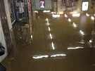 Zaplavený vestibul