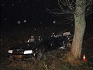 Octavia nabourala do stromu u Hradce Králové, auto se nárazem rozplilo,...