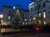Jiří Rusnok rozsvítil vánoční strom před Úřadem vlády.
