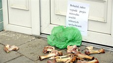 Vep�ové kosti p�ed brn�nskou me�itou (19. prosince 2013)