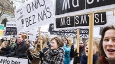 Studenti Gymnázia Vysoké Mýto protestují před Krajským úřadem proti slučování a...