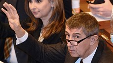 Pedseda hnutí ANO Andrej Babi hlasuje 19. prosince pro pijetí státního...