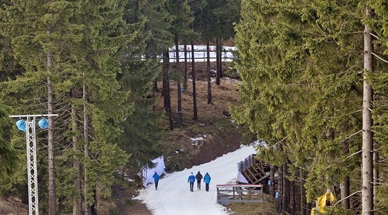 ZELENÝ OBERHOF. Djit startu Tour de Ski laní po snhu.