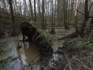 Velkou Británii dál trápí záplavy (26. prosince)