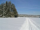Zimní stopa Slavkovským lesem