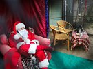 Santa Claus v kleci v praské zoo (19. prosince 2013)