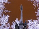 Námraza na stromech na Masarykov námstí v Jihlav (19. prosince 2013)