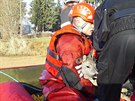 Jablonetí hasii zachránili srnku, kterou uvznil led uprosted nádre Meno.