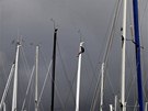 Jachtaský závod Sydney - Hobart