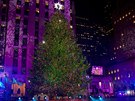 Slavnostní odhalení vánoního stromu íslo 1 v New Yorku, tedy u Rockefellerova...