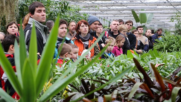 Zjem o prohldky sklenk ostravsk zoologick zahrady byl v ptek velik. (27. prosince 2013)