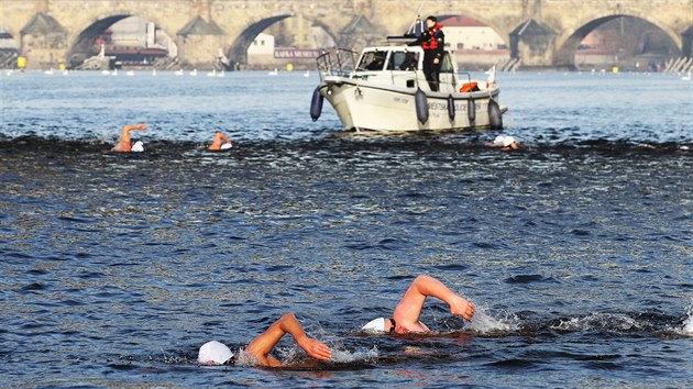 Na Memoriál Alfréda Nikodéma si přišel zaplavat rekordní počet otužilců.