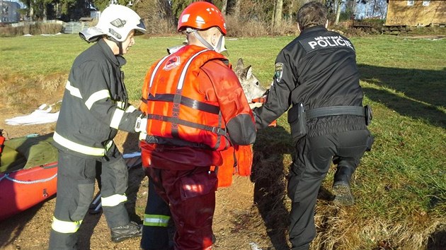 Jablonet hasii zachrnili srnku, kterou uvznil led uprosted ndre Meno.