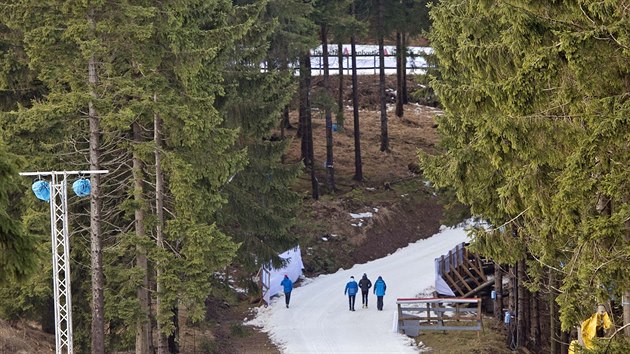 ZELEN OBERHOF. Djit startu Tour de Ski lan po snhu.