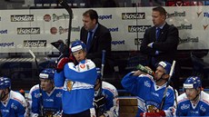 NA STŘÍDAČCE. Hokejisté Finska porazili Švédsko a vyhráli seriál Euro Hockey