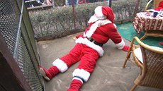 Santa Klaus v Zoo