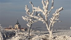 Stromy na Vysoin padají pod tíhou námrazy. V okolí Zelené hory to vypadá jako...