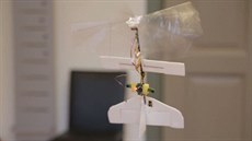 Autonomní mini-dron DelFly Explorer, který létá pomocí mávání kídly.
