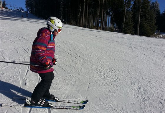 Ve Skiareálu Lipno mohou lyžaři využívat sjezdovky Jezerní, Dámská, Pánská,...