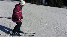 Ve Skiareálu Lipno mohou ly�a�i vyu�ívat sjezdovky Jezerní, Dámská, Pánská,...