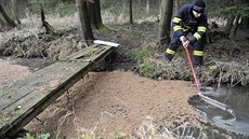 Norné stny jsou i na potoce nad tiím rybníkem. Firma Dekonta odebrala vzorky...