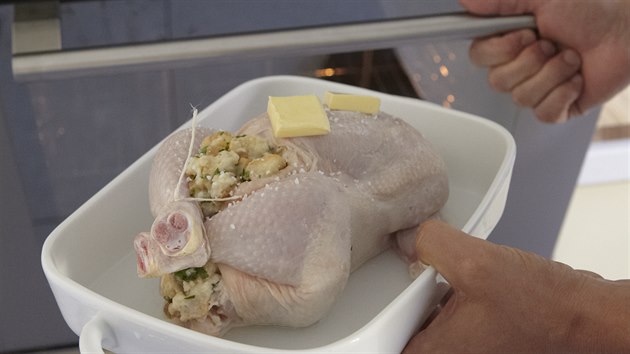 Ku�e s ka�tanovou n�divkou a pastin�kovou ka�� + stepy