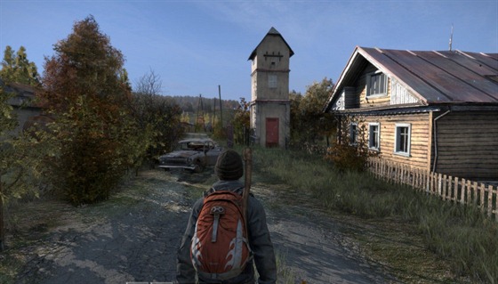 DayZ