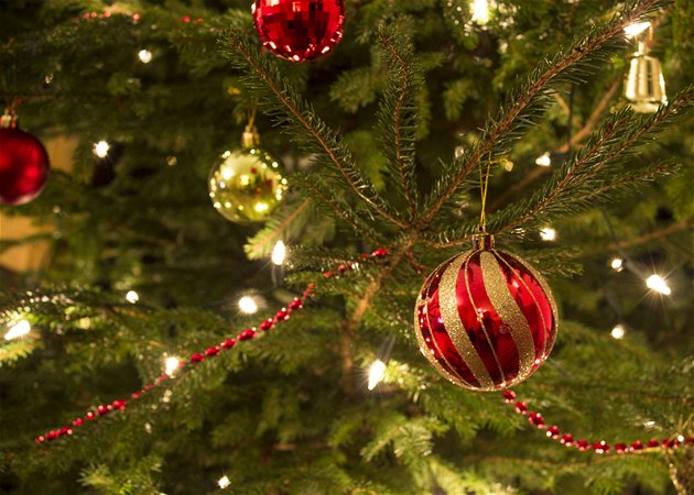 Vánoční stromek (ilustrační foto)