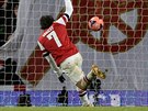 Tomá Rosický potvrzuje vítzství Arsenalu na Tottenhamem.
